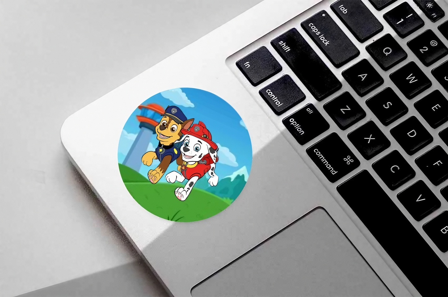 Paw Patrol | Dental Stickers (Quantity 480)