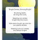 Toothbrushing Song Cards- Bright Smiles Shining Bright